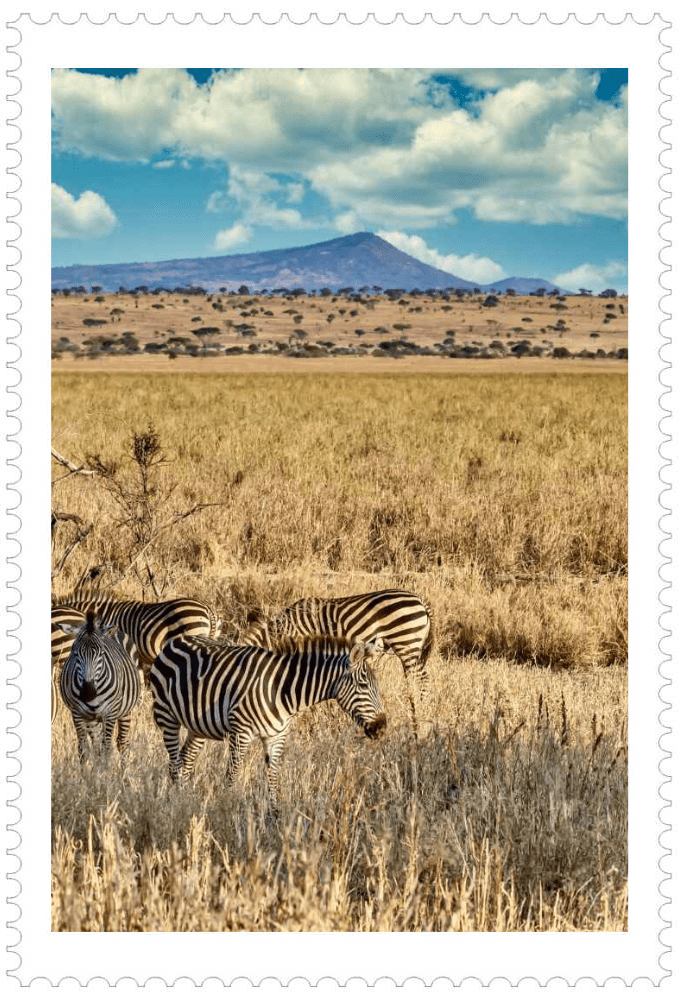 Africa with a 12-Day Luxury Safari & Coastline Classics Tour