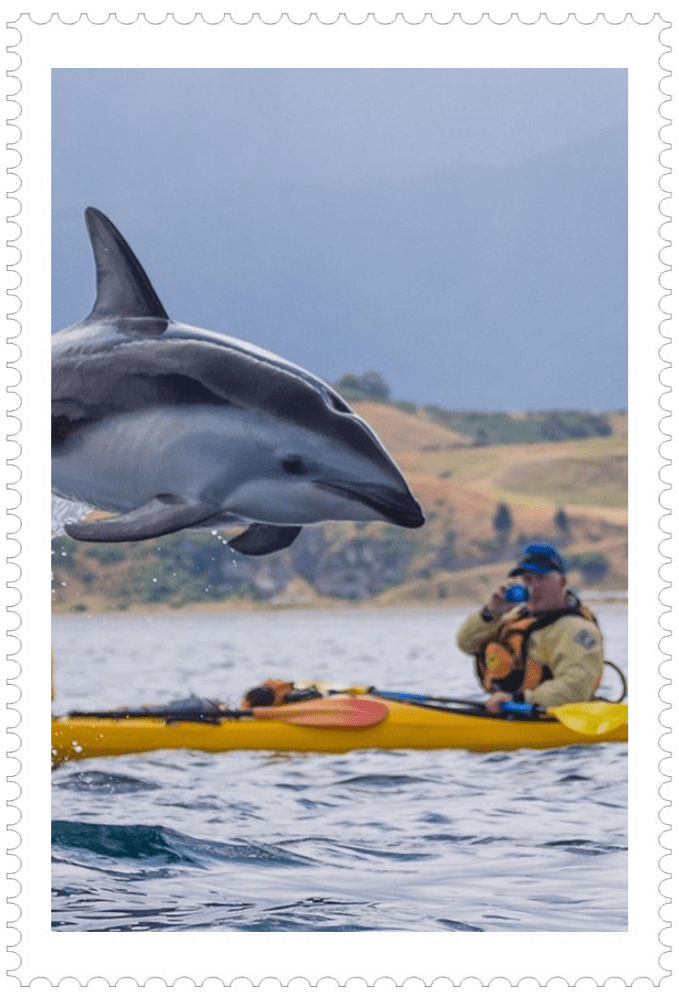 New Zealand with a 12 Day Luxury Journey Southern & North Island